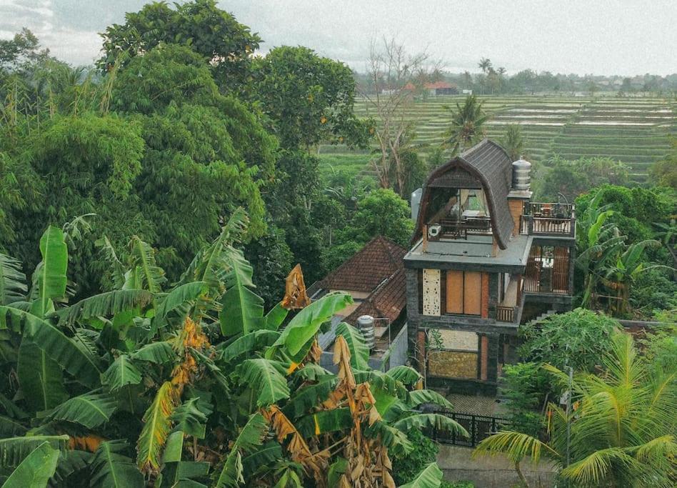 Tori Klumpu, 3 Bedroom Artistic Villa, Dual Views Near Ubud 巴东 外观 照片
